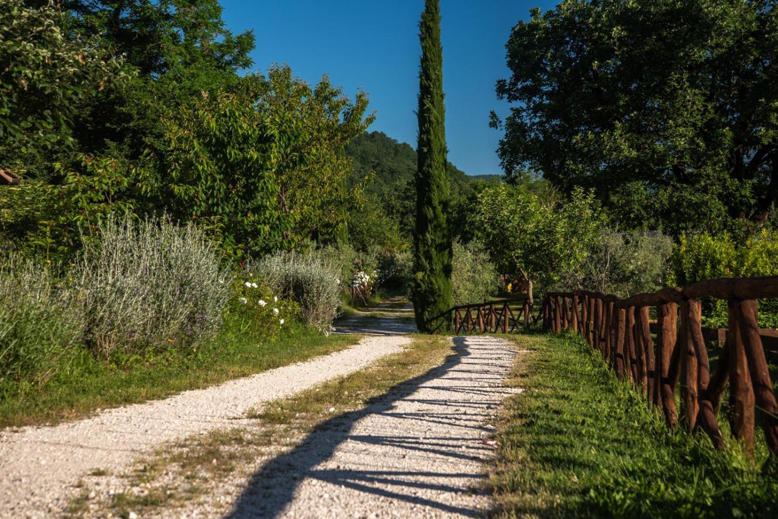 Cuprena Arezzo Exterior foto